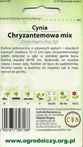 cynia chryzantemowa mix 2